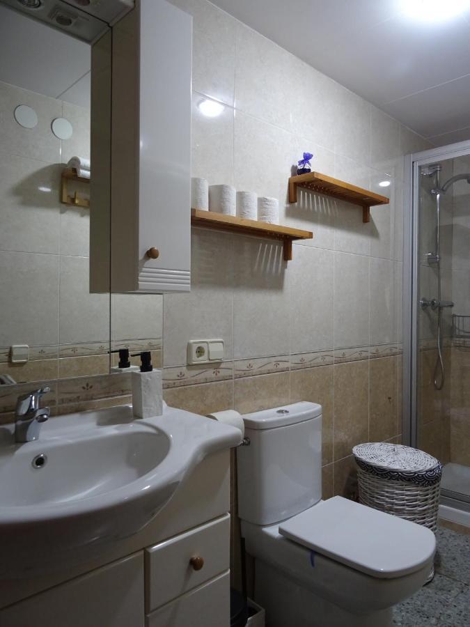 Appartement Pis Acollidor Amb Llar De Foc, Al Centre Camprodon Extérieur photo